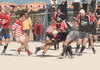 thumb_DSC_0105.jpg